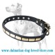 Leather Dalmatian Dog Collar with Cool Brass Plates