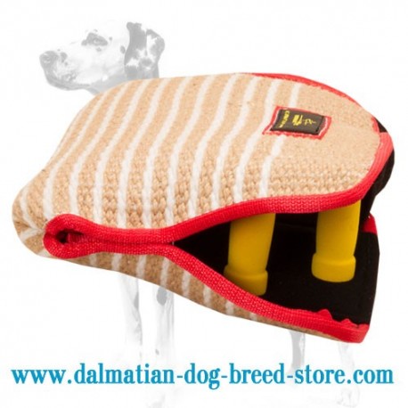 Dalmatian Dog Bite Builder for Successful Training