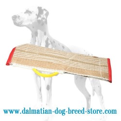 Universal Dalmatian Dog Training Sleeve Cover