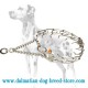 New Stainless Steel Dalmatian Dog Pinch Collar