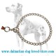 Dalmatian Dog Choke Chain Collar