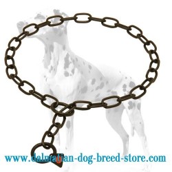 Dalmatian Dog Choke Chain Collar Made in Black