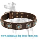 Dalmatian Leather Dog Collar with Shiny Circles and Blue Stones