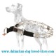 New Design Dalmatian Dog Pinch Collar with Click-Lock Buckle
