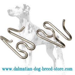 Dalmatian Dog Prong Collar Stainless Steel Extra Link