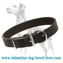Amazing Dalmatian Breed Leather Dog Collar with Smooth Surface