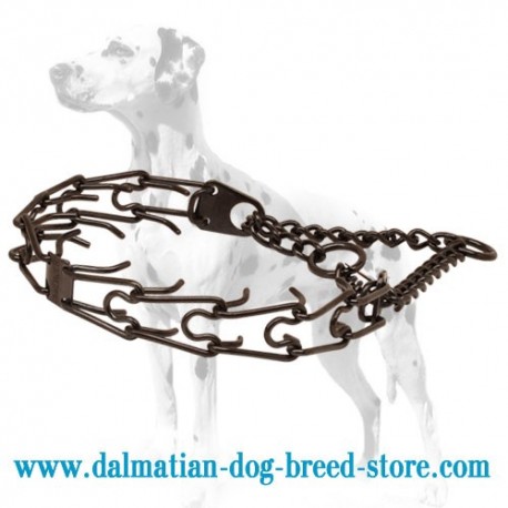 'Trendy Black' Dalmatian Dog Pinch Collar