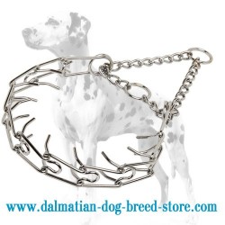 'Calm Down Effect' Dalmatian Dog Pinch Collar