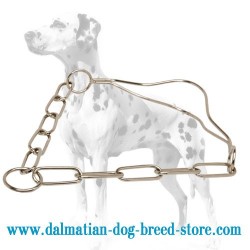 Dalmatian Chrome Plated Show Dog Collar