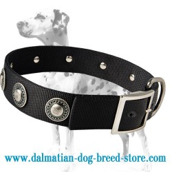 Exclusively designed marvellous wide nylon dog collar for Dalmatian breed
