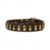 Leather dog collar with vertical brass plates for Dalmatian breed