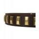 Leather dog collar with vertical brass plates for Dalmatian breed