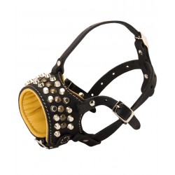 Stylish Leather Dalmatian Dog Muzzle