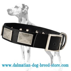 Glorious Nylon Dog Collar For Dalmatian Breed