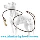 Ultra-Thin Dalmatian Dog Leather Leash for Shows