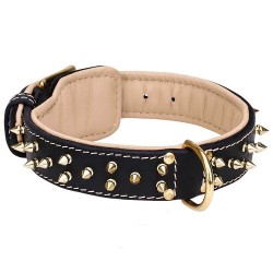 Extraordinary design Nappa Padded Leather Spiked Dalmatian Dog Collar
