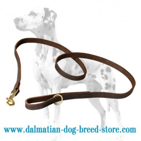 Handcrafted Dalmatian Leather Dog Leash