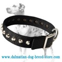New Design Exclusive Nylon Dalmatian dog collar with Pyramids