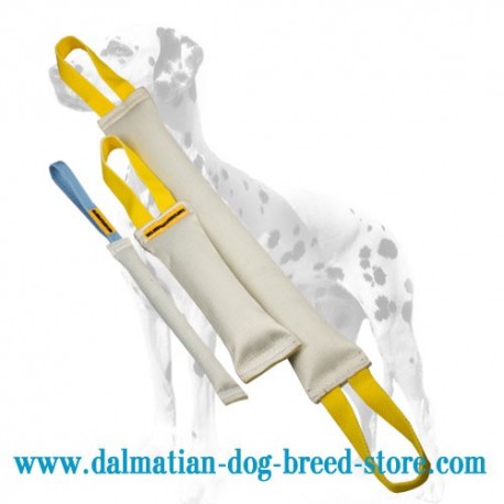 Excellent Dalmatian Dog Training Set of Fire Hose Bite Tugs