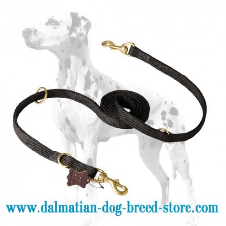 All weather Police Dalmatian Dog Leash