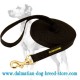 Nylon Dalmatian Dog Leash for Training and Tracking