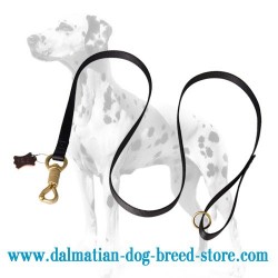 'Smart Lock' Dalmatian Dog Leash of Nylon