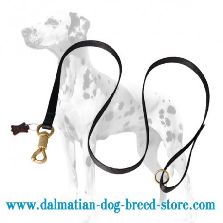 'Smart Lock' Dalmatian Dog Leash of Nylon