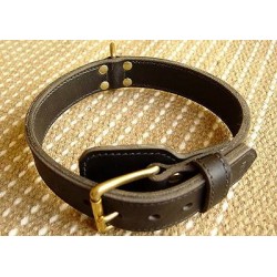 Dalmatian Leather Dog Collar for Agitation Training