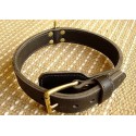 Dalmatian Leather Dog Collar for Agitation Training