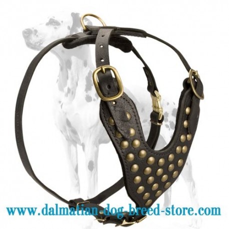 Hand-made Dalmatian Studded Walking Dog Harness