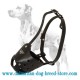 Everyday Elegant Leather dog muzzle for Dalmatian