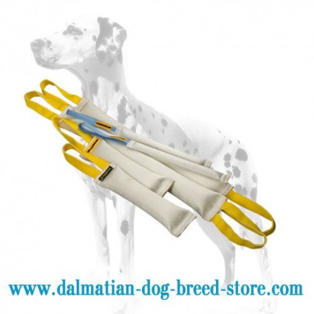 Large Dalmatian Training Set of Fire Hose Bite Tugs