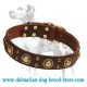 'Golden Knights' Dalmatian Dog Collar
