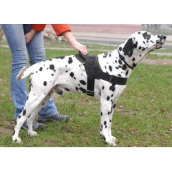 Super Durable Nylon Multi-purpose Dog Harness for Dalmatian Breed