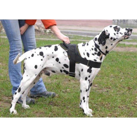 Super Durable Nylon Multi-purpose Dog Harness for Dalmatian Breed