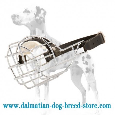 Dalmatian wire cage dog muzzle that allows freedom