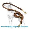 Multimode Dalmatian Dog Leather Leash