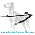 Convenient Dalmatian Coupler Leash for Walking 2 Dogs