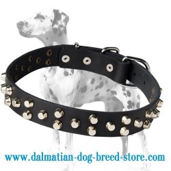 Stylish Dalmatian Dog Collar with Small 3 rows pyramids