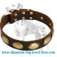 Gorgeous Vintage Leather Dog Collar with Big Oval Plates for Dalmatian breed