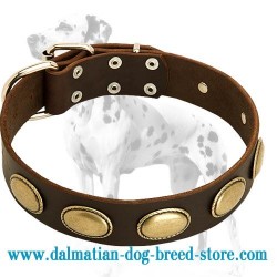 Gorgeous Vintage Leather Dog Collar with Big Oval Plates for Dalmatian breed