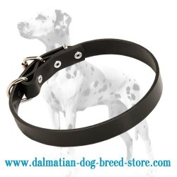 Leather wide Dalmatian stylish collar