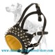 Leather dog collar with shiny studs and pyramids designed to fit Dalmatian