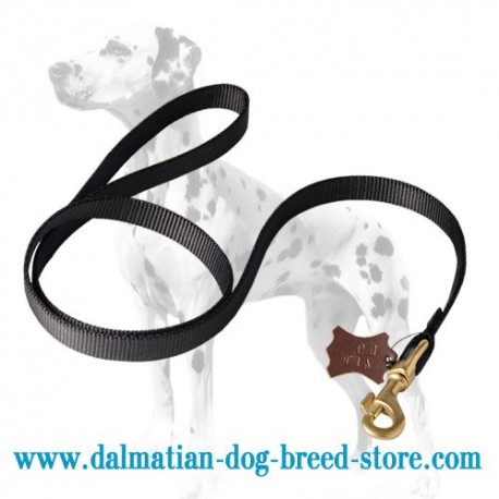 Practical Dalmatian Dog Lead of Nylon