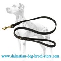 Superb Quality Dalmatian Dog Leash