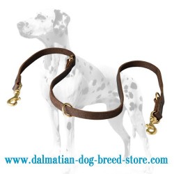 Multitasking Dalmatian Dog Leash