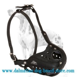 Leather Military Dog Muzzle for Dalmatian Breed
