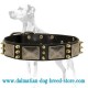 Embelished Leather Dog Collar for Dalmatian breed