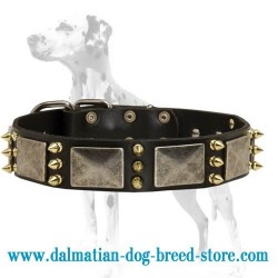 Embelished Leather Dog Collar for Dalmatian breed