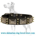 Embelished Leather Dog Collar for Dalmatian breed
